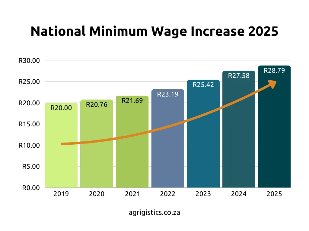 Bar chart showing South African national minimum wage increases from 2019 to 2025, rising to R28.79 in 2025.