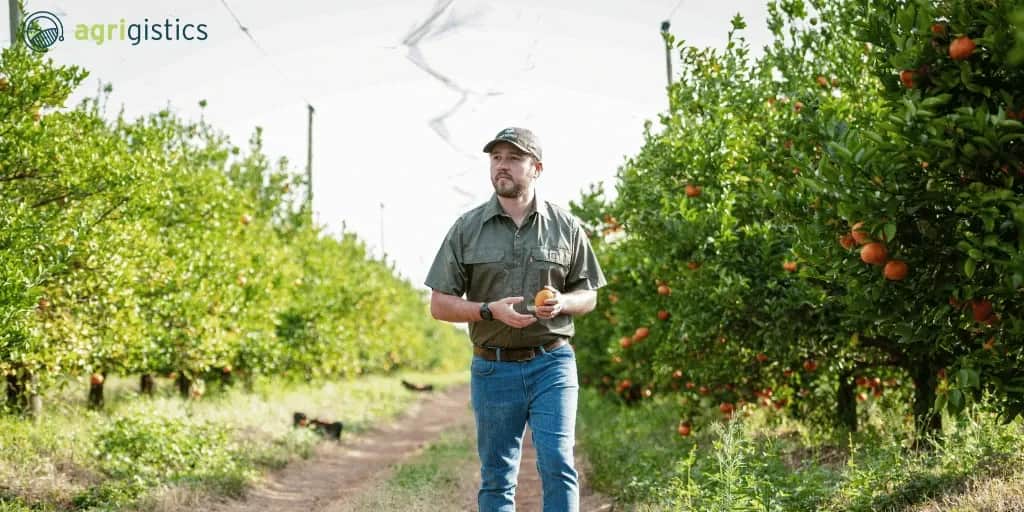 Farmer standing in an orchard field with citrus trees, used for agriculture payroll content